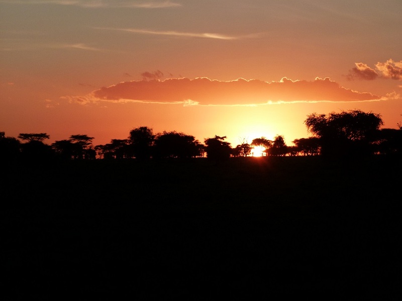 Sonnenuntergang in der Wildnis