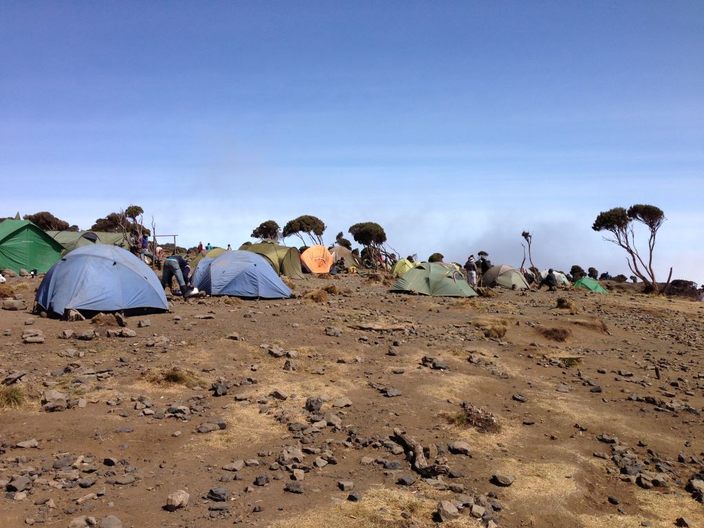 Shira Camp auf dem Kilimanjaro