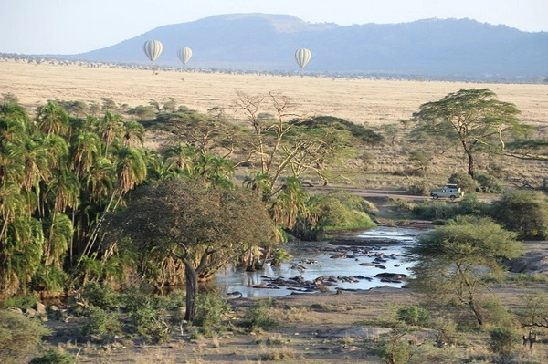 Heissluftballons am Himmel, Berger