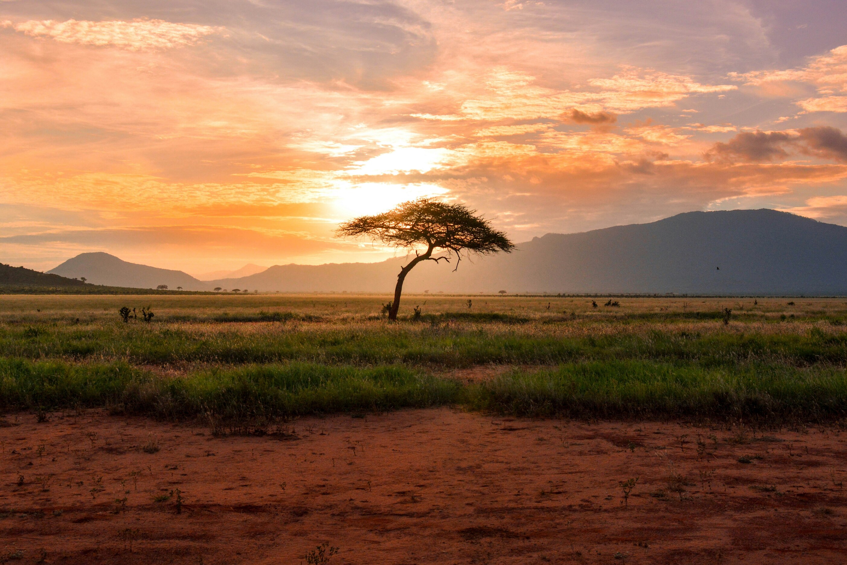 Sonnenuntergang, Steppe