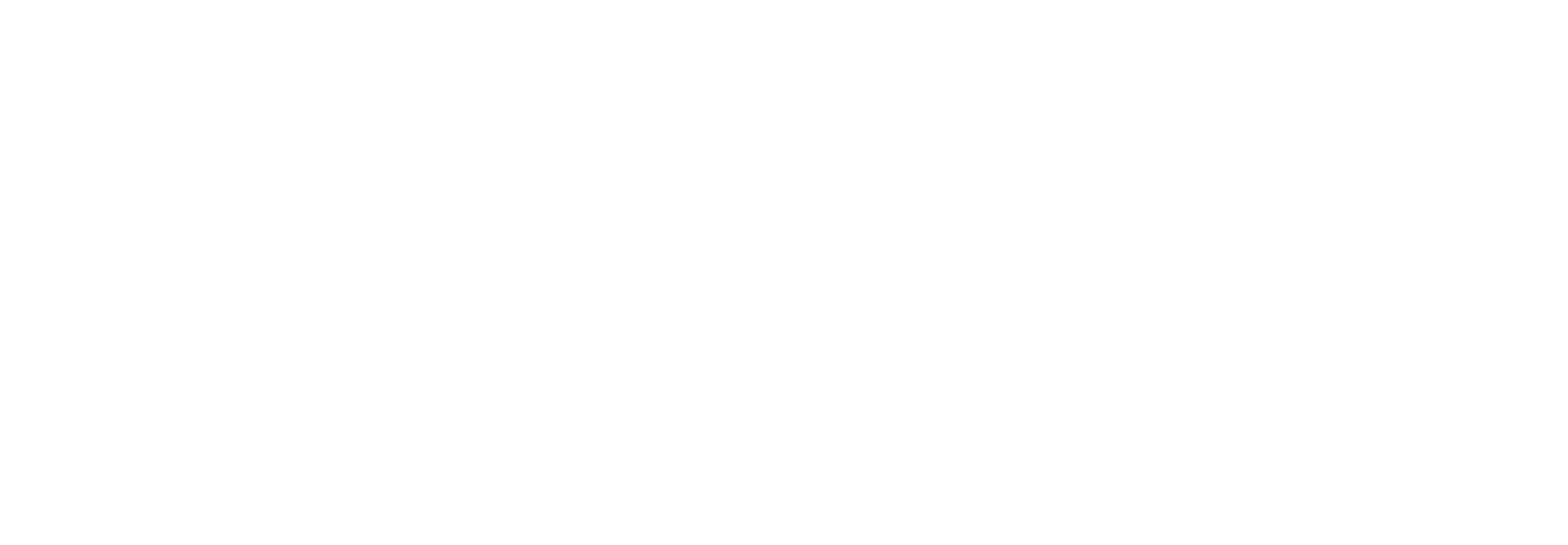 African Safari Experts